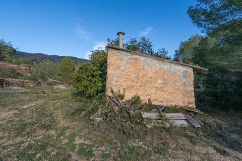 Finca i Tivenys, Tarragona, Tivenys - € 23.000 | Ref: 308 - foto 5