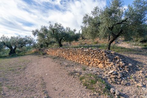 Finca i Tivenys, Tarragona, Tivenys - € 23.000 | Ref: 308 - foto 12