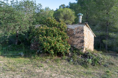 Finca i Tivenys, Tarragona, Tivenys - € 23.000 | Ref: 308 - foto 7
