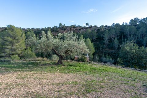 Finca i Tivenys, Tarragona, Tivenys - € 23.000 | Ref: 308 - foto 9