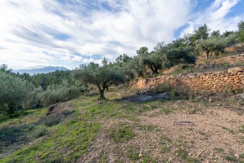 Finca i Tivenys, Tarragona, Tivenys - € 23.000 | Ref: 308 - foto 14