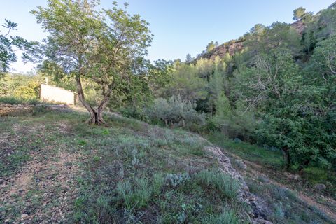 Finca i Tivenys, Tarragona, Tivenys - € 23.000 | Ref: 308 - foto 11