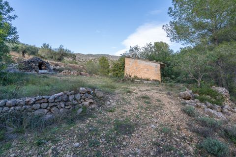 Finca i Tivenys, Tarragona, Tivenys - € 23.000 | Ref: 308 - foto 6