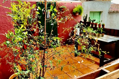 Landsbyhus i Alcaucin, Malaga, Alcaucin - € 164.000 | Ref: R-alteo180 - foto 35