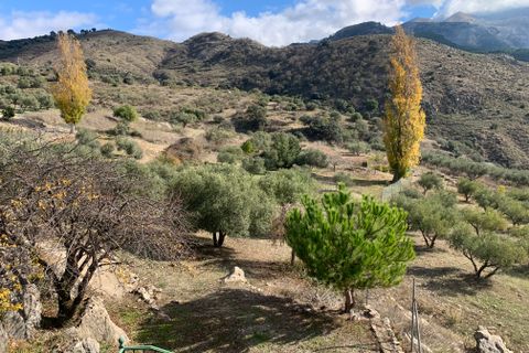 Villa i Alcaucin, Malaga, Alcaucin - € 248.700 | Ref: R-alc280 - foto 47