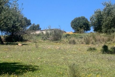 Finca i Venta Baja, Malaga, Venta Baja - € 219.000 | Ref: R-olivar - foto 4