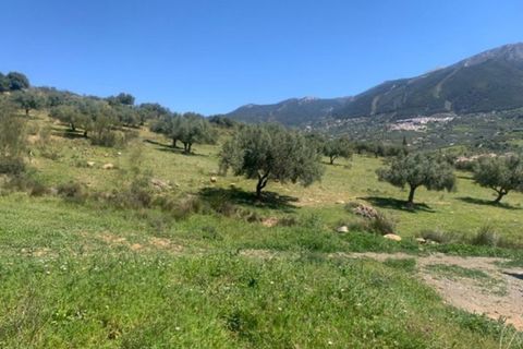 Finca i Venta Baja, Malaga, Venta Baja - € 219.000 | Ref: R-olivar - foto 10