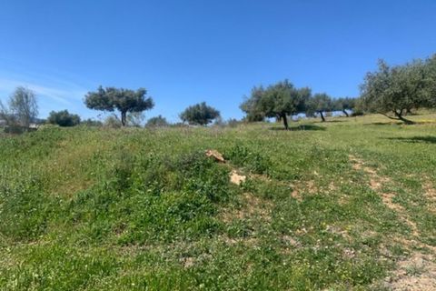 Finca i Venta Baja, Malaga, Venta Baja - € 219.000 | Ref: R-olivar - foto 2