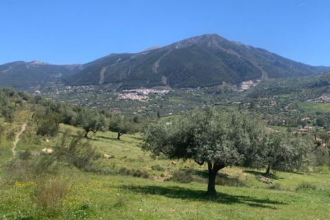 Finca i Venta Baja, Malaga, Venta Baja - € 219.000 | Ref: R-olivar - foto 1
