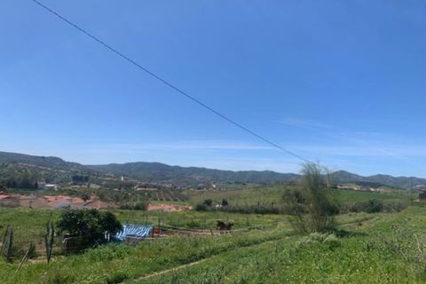Finca i Venta Baja, Malaga, Venta Baja - € 219.000 | Ref: R-olivar - foto 5