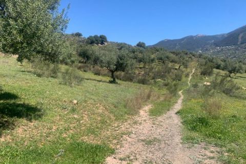 Finca i Venta Baja, Malaga, Venta Baja - € 219.000 | Ref: R-olivar - foto 11