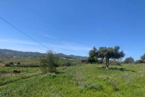 Finca i Venta Baja, Malaga, Venta Baja - € 219.000 | Ref: R-olivar - foto 3
