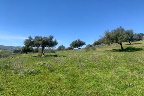 Finca i Venta Baja, Malaga, Venta Baja - € 219.000 | Ref: R-olivar - foto 8