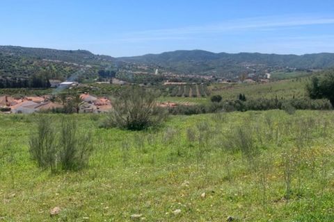 Finca i Venta Baja, Malaga, Venta Baja - € 219.000 | Ref: R-olivar - foto 6