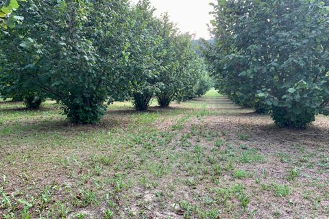 Erhvervsejendom i Dogliani, Cuneo, Dogliani - € 340.000 | Ref: D750.25 - foto 7