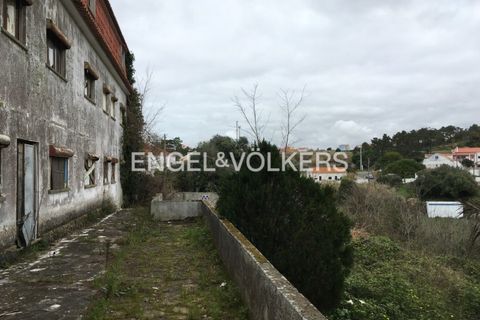 Villa i Mafra, Lisbon, Mafra - € 775.000 | Ref: W-046F2Z - foto 11