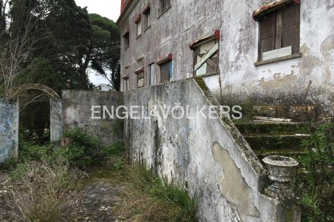 Villa i Mafra, Lisbon, Mafra - € 775.000 | Ref: W-046F2Z - foto 12