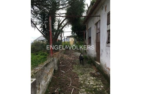 Villa i Mafra, Lisbon, Mafra - € 775.000 | Ref: W-046F2Z - foto 13