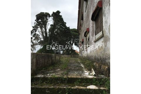 Villa i Mafra, Lisbon, Mafra - € 775.000 | Ref: W-046F2Z - foto 17