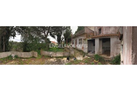 Villa i Mafra, Lisbon, Mafra - € 775.000 | Ref: W-046F2Z - foto 23