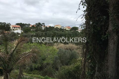 Villa i Mafra, Lisbon, Mafra - € 775.000 | Ref: W-046F2Z - foto 44