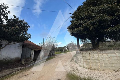 Villa i Batalha, Leiria, Batalha - € 76.000 | Ref: 1131057/25 LR - foto 30