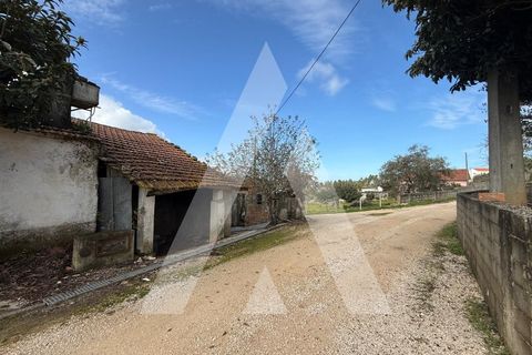 Villa i Batalha, Leiria, Batalha - € 76.000 | Ref: 1131057/25 LR - foto 32