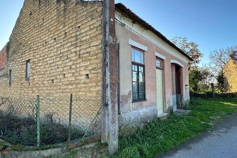 Villa i Oliveira do Bairro, Aveiro, Oliveira do Bairro - € 120.000 | Ref: C0385-00946 - foto 2