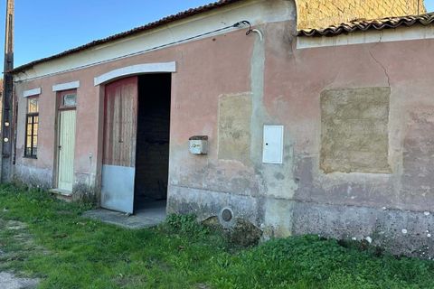 Villa i Oliveira do Bairro, Aveiro, Oliveira do Bairro - € 120.000 | Ref: C0385-00946 - foto 3