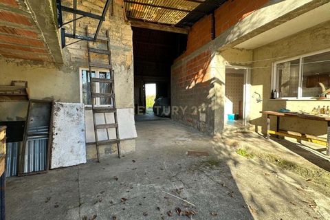 Villa i Oliveira do Bairro, Aveiro, Oliveira do Bairro - € 120.000 | Ref: C0385-00946 - foto 6