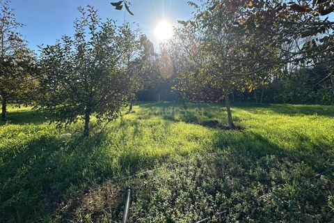 Villa i Oliveira do Bairro, Aveiro, Oliveira do Bairro - € 120.000 | Ref: C0385-00946 - foto 7