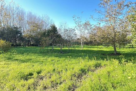 Villa i Oliveira do Bairro, Aveiro, Oliveira do Bairro - € 120.000 | Ref: C0385-00946 - foto 8