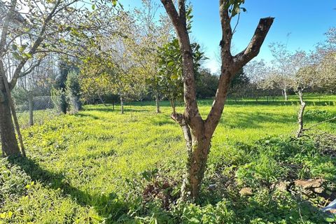 Villa i Oliveira do Bairro, Aveiro, Oliveira do Bairro - € 120.000 | Ref: C0385-00946 - foto 9