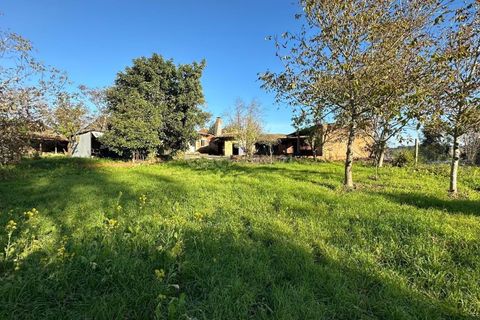 Villa i Oliveira do Bairro, Aveiro, Oliveira do Bairro - € 120.000 | Ref: C0385-00946 - foto 10