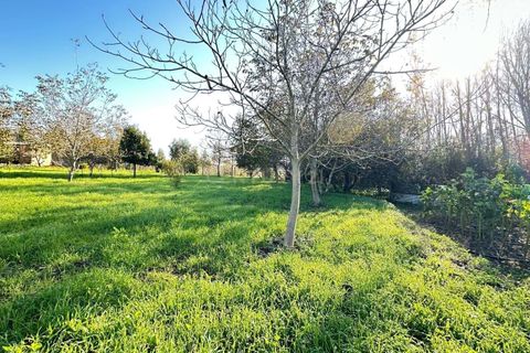 Villa i Oliveira do Bairro, Aveiro, Oliveira do Bairro - € 120.000 | Ref: C0385-00946 - foto 11