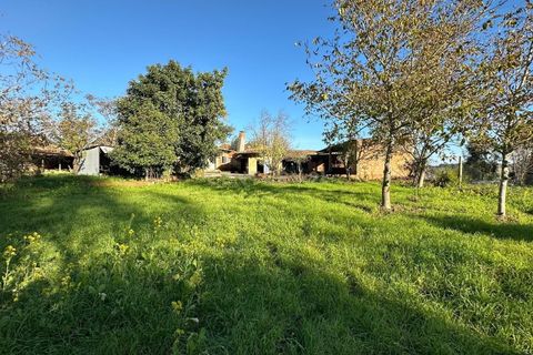 Villa i Oliveira do Bairro, Aveiro, Oliveira do Bairro - € 120.000 | Ref: C0385-00946 - foto 13