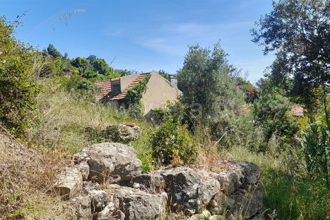 Helårsgrund i Alenquer, Lisbon, Alenquer - € 480.000 | Ref: 261240065 - foto 8