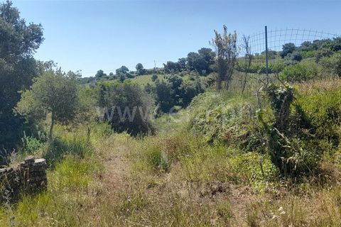 Helårsgrund i Alenquer, Lisbon, Alenquer - € 480.000 | Ref: 261240065 - foto 10