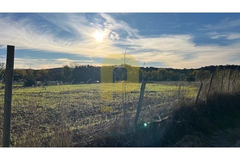 Landejendom i Arraiolos, Evora, Arraiolos - € 350.000 | Ref: PB2025480 - foto 3