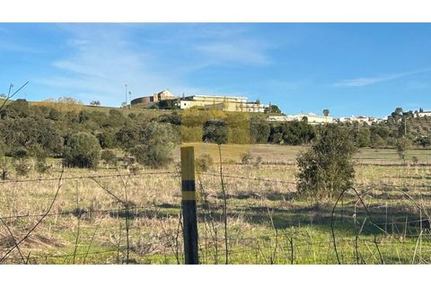 Landejendom i Arraiolos, Evora, Arraiolos - € 350.000 | Ref: PB2025480 - foto 4