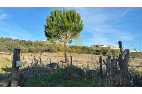 Landejendom i Arraiolos, Evora, Arraiolos - € 350.000 | Ref: PB2025480 - foto 6