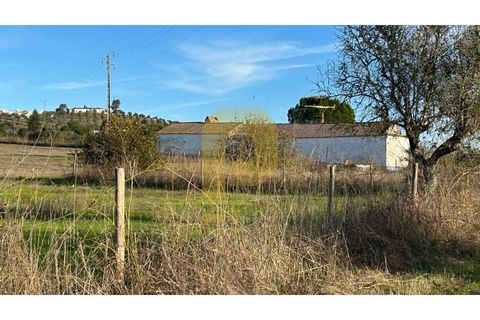 Landejendom i Arraiolos, Evora, Arraiolos - € 350.000 | Ref: PB2025480 - foto 7