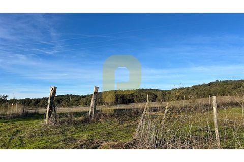 Landejendom i Arraiolos, Evora, Arraiolos - € 350.000 | Ref: PB2025480 - foto 9