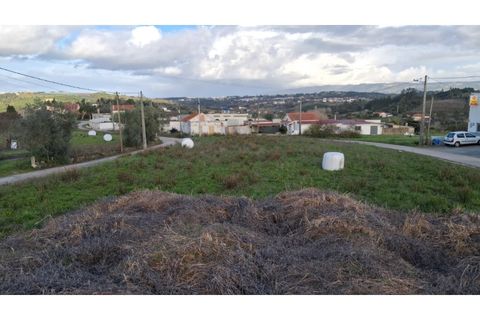 Villa i Alcobaca, Leiria, Alcobaca - € 580.000 | Ref: CAS_40 - foto 8