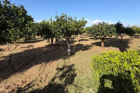 Villa a Ispica, Ragusa, Ispica - € 330.000 | Ref: 11657 - foto 11