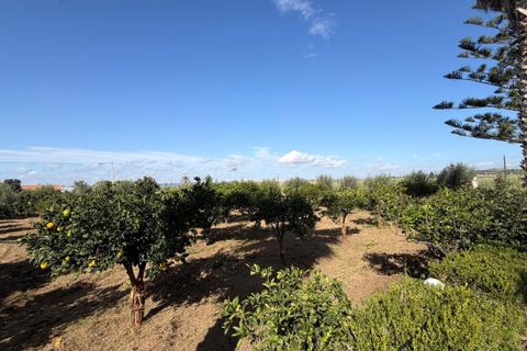 Villa a Ispica, Ragusa, Ispica - € 330.000 | Ref: 11657 - foto 12