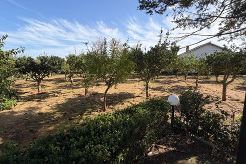 Villa a Ispica, Ragusa, Ispica - € 330.000 | Ref: 11657 - foto 15