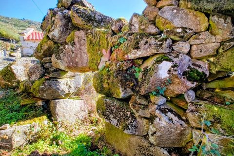 Ruinere i Arcos de Valdevez, Viana do Castelo, Arcos de Valdevez - € 10.500 | Ref: AVV-2496-MA-1125 - foto 2