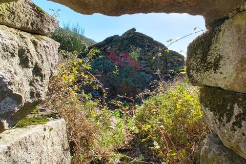 Ruinere i Arcos de Valdevez, Viana do Castelo, Arcos de Valdevez - € 10.500 | Ref: AVV-2496-MA-1125 - foto 3