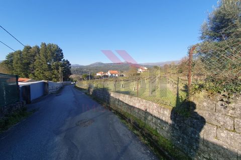 Terra a Azere, Viana do Castelo, Azere - € 45.000 | Ref: AVV-2507-NS-1225 - foto 2
